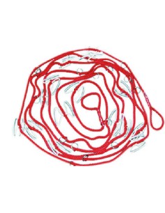 CUERDA TRANSPORTE SIN CINTURÓN