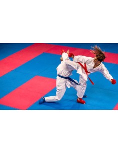 PUZZLE ARTES MARCIALES / GIMNASIO