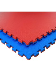 PUZZLE ARTES MARCIALES / GIMNASIO 2