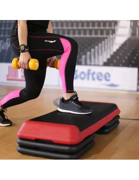 STEP PROFESIONAL DE 4 BASES