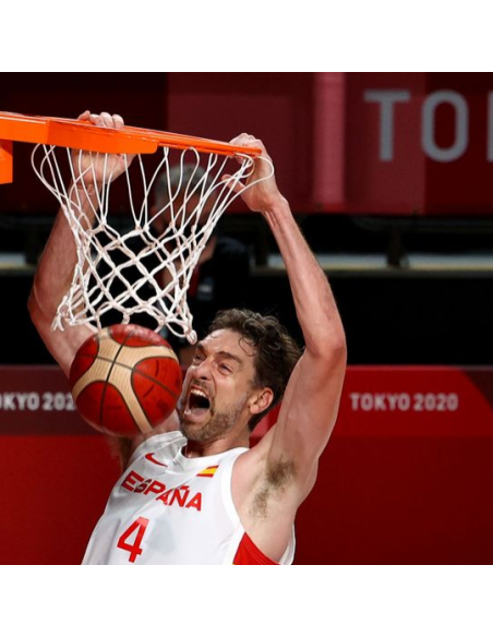 JUEGO DE REDES OFICIAL XXV OLIMPIADAS