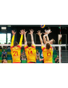 RED VOLEIBOL PRO LÍNEA ORO NEGRO 4mm (PP) 2