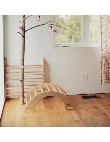 ARCO DE BALANCEO Y ESCALADA