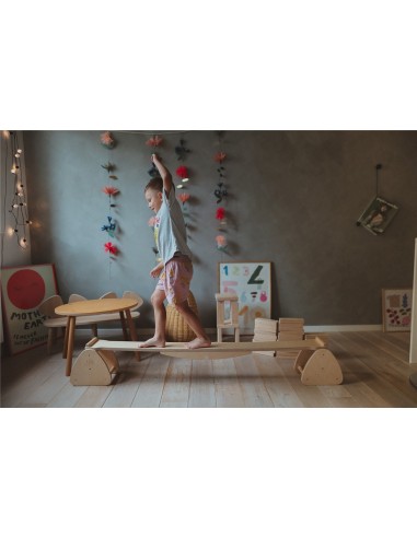 PASARELA DE EQUILIBRIO