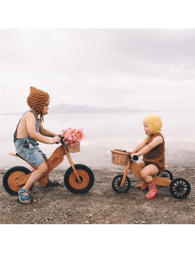 BICICLETA EQUILIBRIO