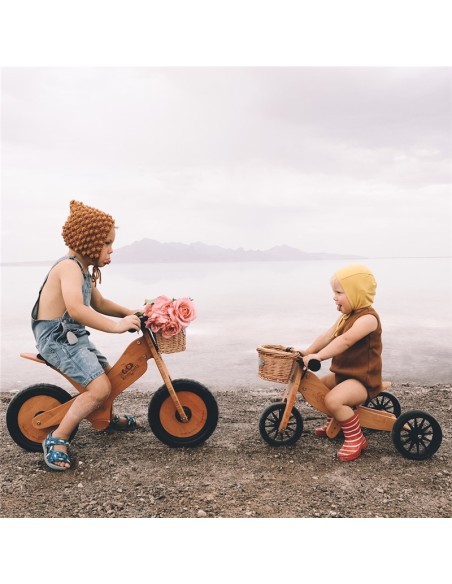 BICICLETA EQUILIBRIO