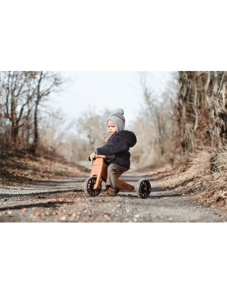 BICICLETA EQUILIBRIO