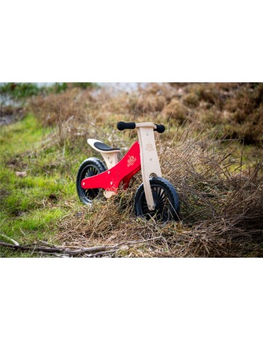 BICICLETA EQUILIBRIO