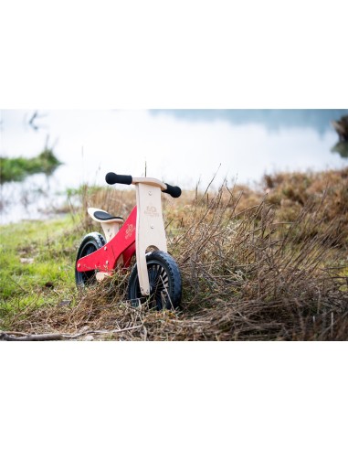 BICICLETA EQUILIBRIO