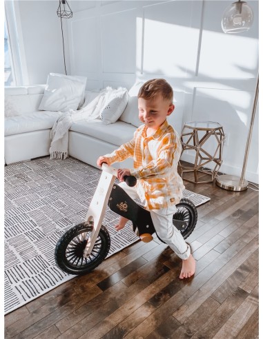 BICICLETA EQUILIBRIO