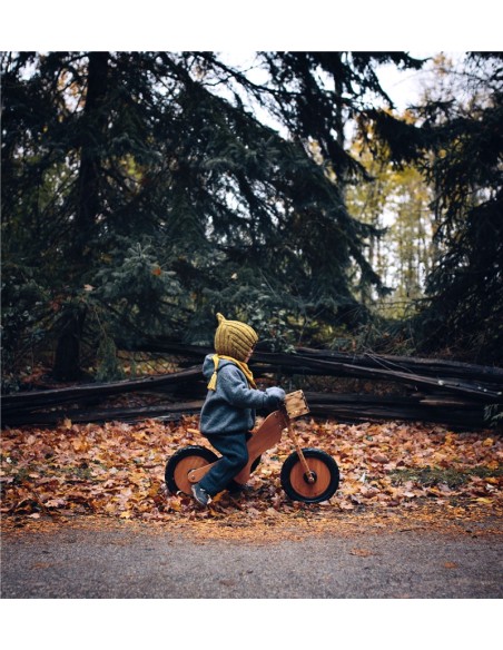 BICICLETA EQUILIBRIO