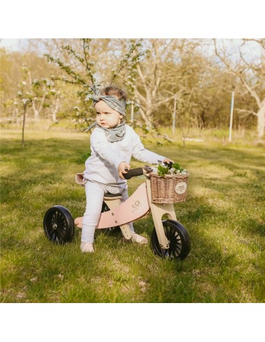 TINY TOT 2 EN 1 PLUS