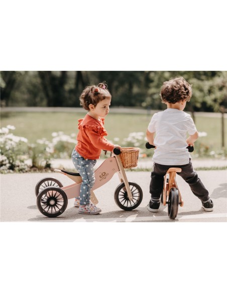 TINY TOT 2 EN 1 PLUS