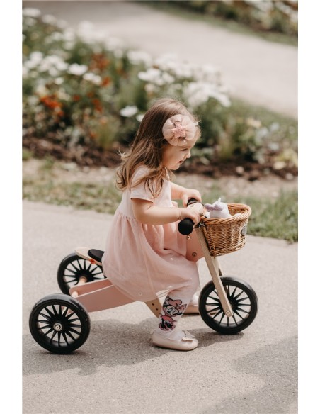 TINY TOT 2 EN 1 PLUS