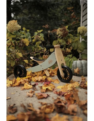 TINY TOT 2 EN 1 PLUS