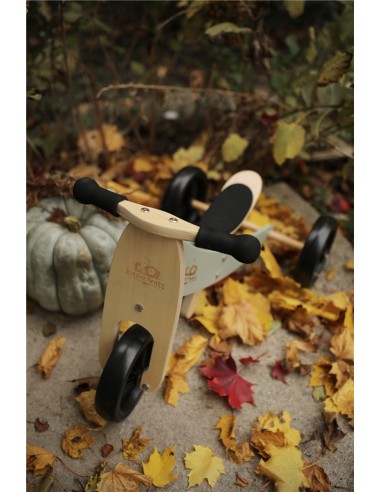 TINY TOT 2 EN 1 PLUS