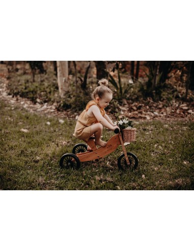 TINY TOT 2 EN 1 PLUS