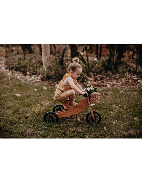 TINY TOT 2 EN 1 PLUS