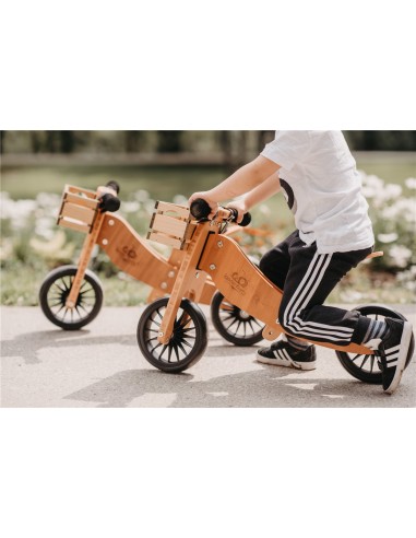 TINY TOT 2 EN 1 PLUS