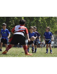 CINTURÓN DE PLACAJE 2