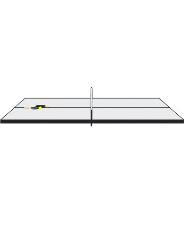 PING PONG FLOTANTE