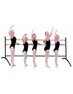 BARRA DANZA TRASLADABLE