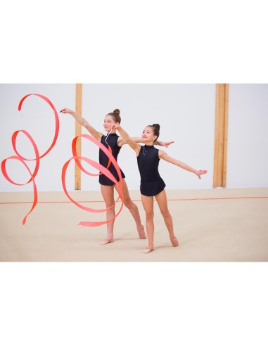 VARILLA + CINTA RÍTMICA PRO