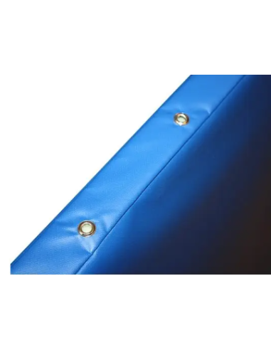 COLCHONETA CLÁSICA 200 X 100 X 10 CM D:25KG